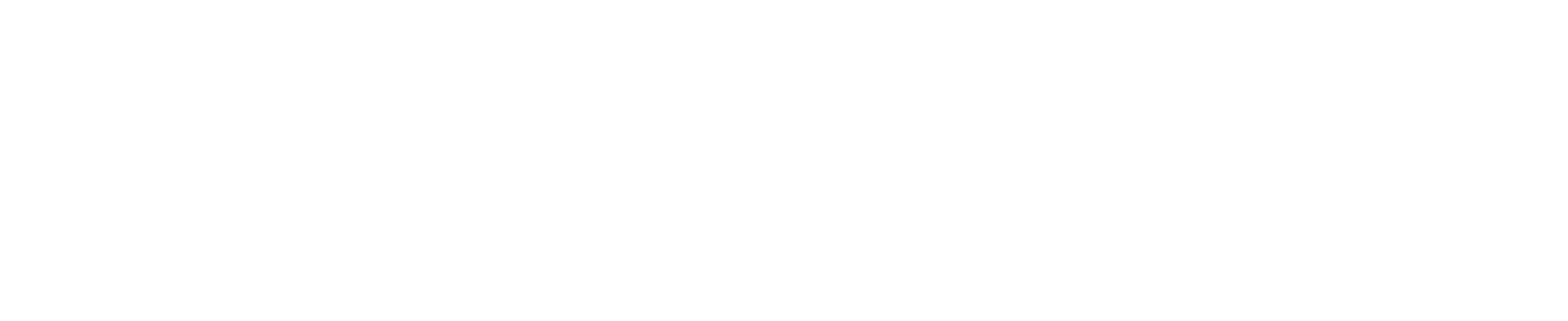 Wowie logo_2018_V1_RGB (1) (1)